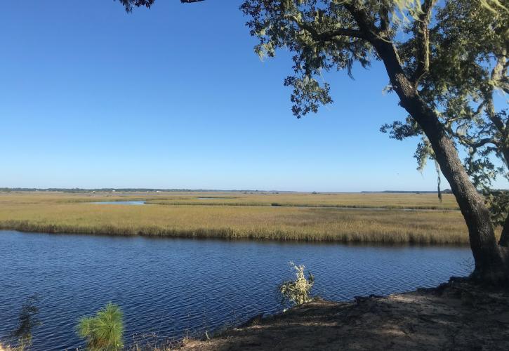 View of the marsh from the bluff at Bluffs of St. Teresa